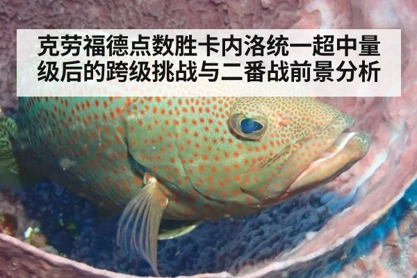 克劳福德点数胜卡内洛统一超中量级后的跨级挑战与二番战前景分析